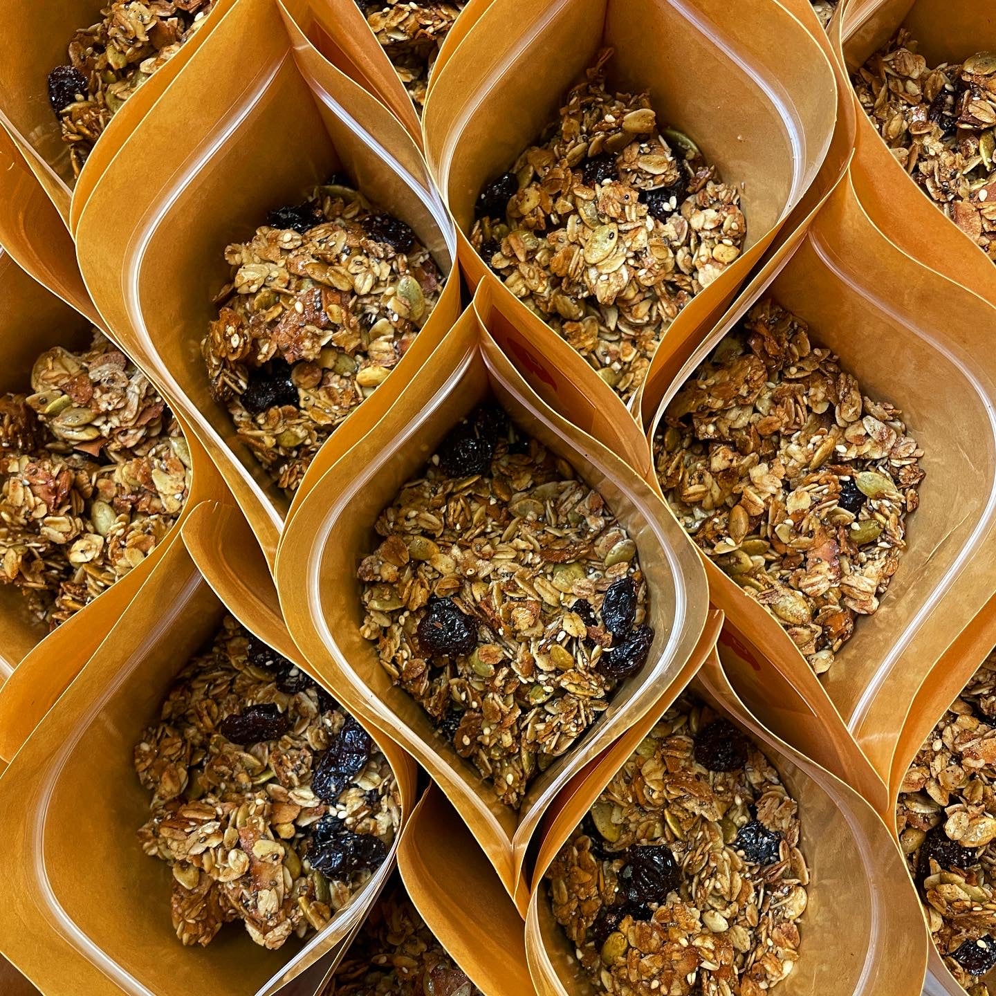 Maple Cranberry Toasted Granola